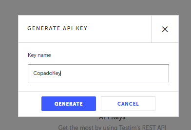 API キー名入力と Generate ボタンの画面